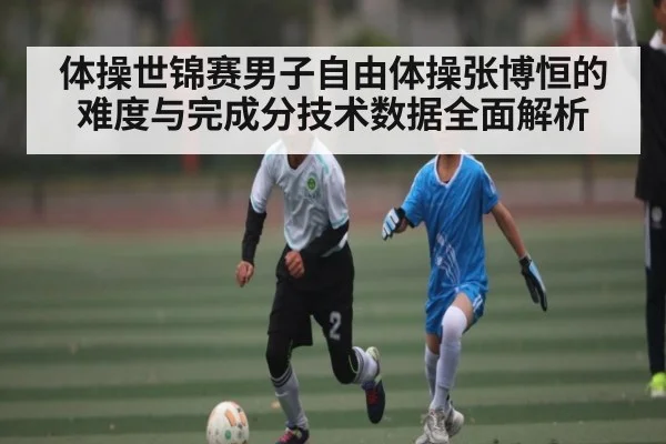 体操世锦赛男子自由体操张博恒的难度与完成分技术数据全面解析