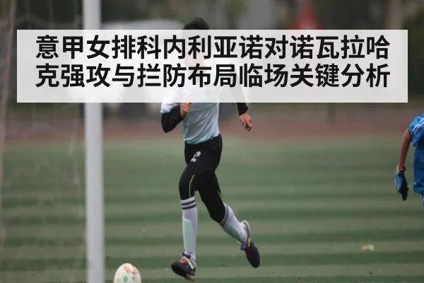 意甲女排科内利亚诺对诺瓦拉哈克强攻与拦防布局临场关键分析